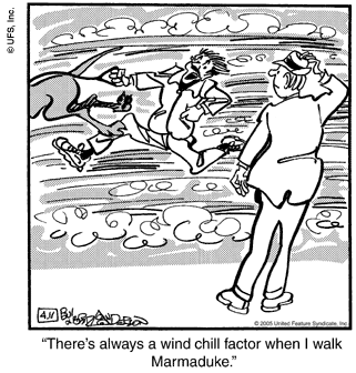 marmaduke